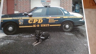 K9 Dax